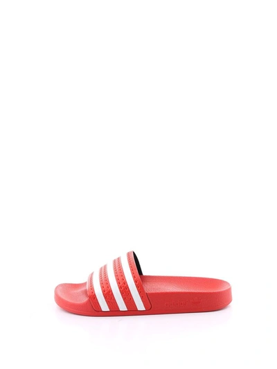 Shop Adidas Originals Adidas Women's Red Rubber Sandals