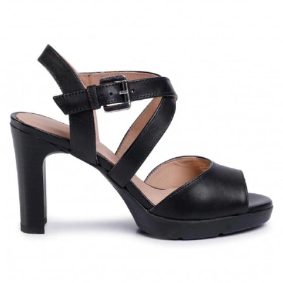 Shop Geox Women's Black Leather Sandals