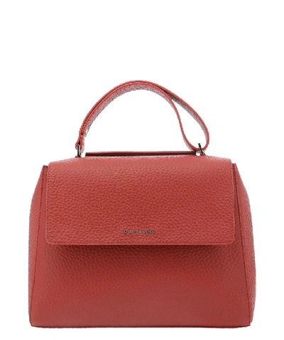 Shop Orciani Women's Red Leather Handbag