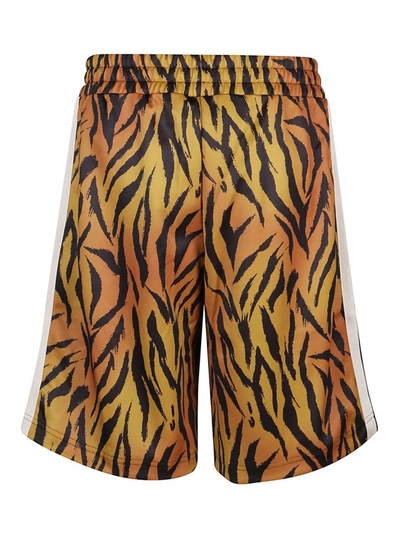 Shop Palm Angels Men's Orange Polyester Shorts