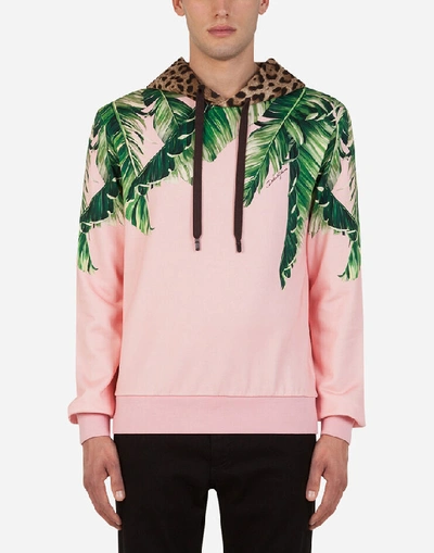 Shop Dolce & Gabbana Jersey Hoodie With Banana Leaf Print In Pink