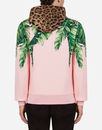 Shop Dolce & Gabbana Jersey Hoodie With Banana Leaf Print In Pink
