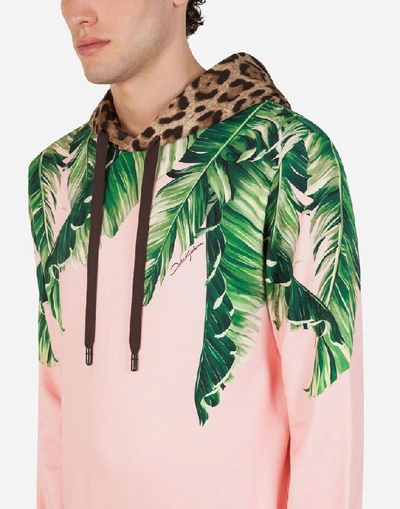 Shop Dolce & Gabbana Jersey Hoodie With Banana Leaf Print In Pink