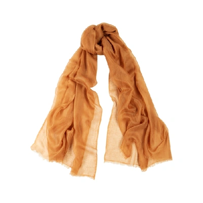 Shop Denis Colomb Feather Toosh Green Fine-knit Cashmere Scarf In Brown