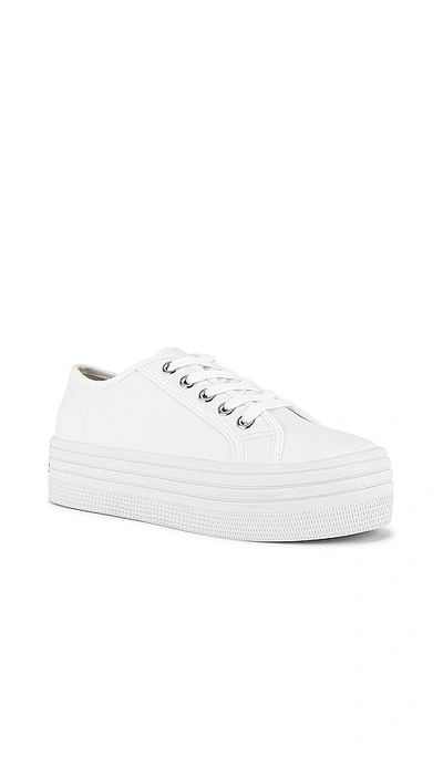 Shop Steve Madden Bobbi30 Sneaker In White