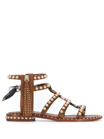Shop Ash Pareo Studded Sandals In Brown