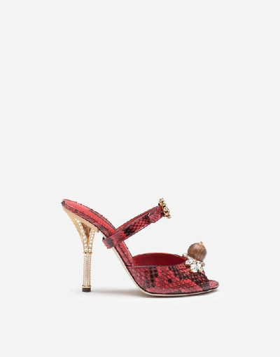 Shop Dolce & Gabbana Mules In Python And Jewel Embroidery In Red/black