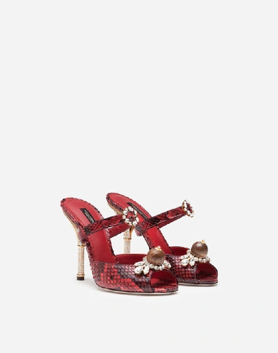Shop Dolce & Gabbana Mules In Python And Jewel Embroidery In Red/black