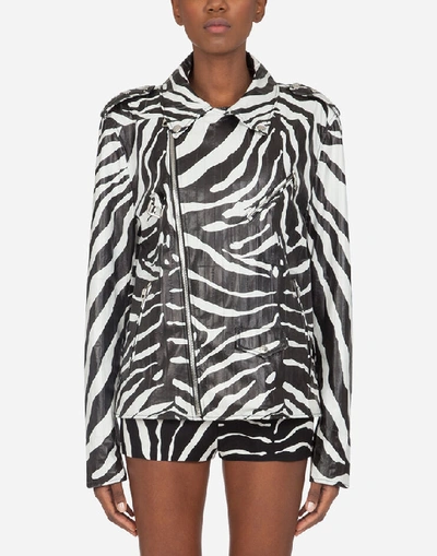 Shop Dolce & Gabbana Biker Jacket In Eel Skin With Zebra Print