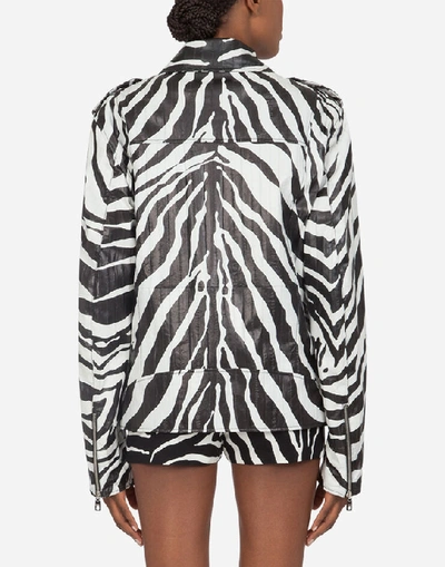 Shop Dolce & Gabbana Biker Jacket In Eel Skin With Zebra Print