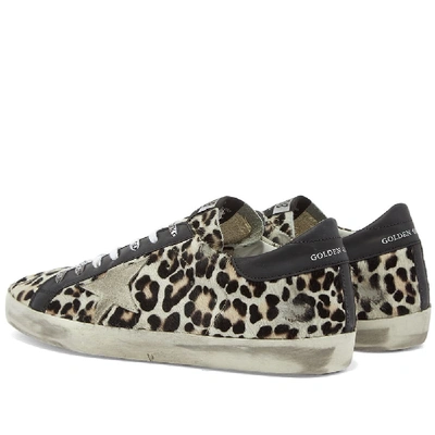 Shop Golden Goose Superstar Leopard Horsy Leather Heel Sneaker In White