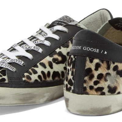 Shop Golden Goose Superstar Leopard Horsy Leather Heel Sneaker In White