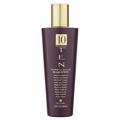 Shop Alterna Ten Perfect Blend Shampoo 8.5 oz