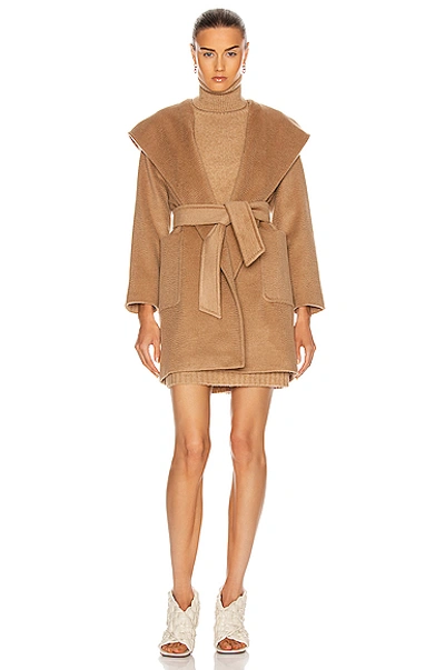 Shop Max Mara Rialto Coat In Camel