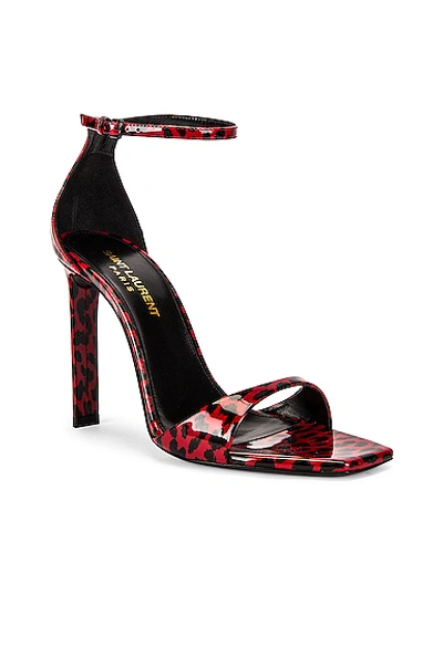 Shop Saint Laurent Bea Leopard Sandals In Rouge Eros & Black
