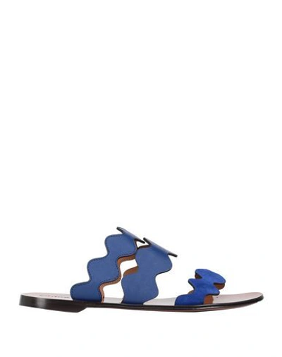 Shop Chloé Sandals In Blue