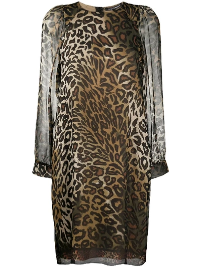 Shop Luisa Cerano Leopard Print Sheer Dress In Brown