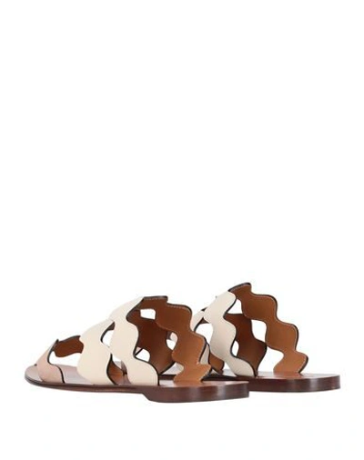 Shop Chloé Sandals In Beige