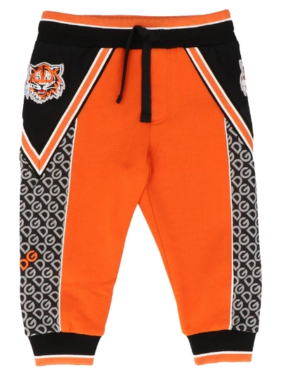 Shop Dolce & Gabbana Tiger Sweatpants In Multicolor