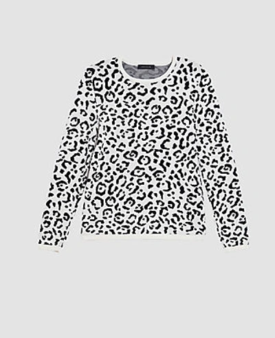 Shop Ann Taylor Animal Print Jacquard Sweater In Winter White