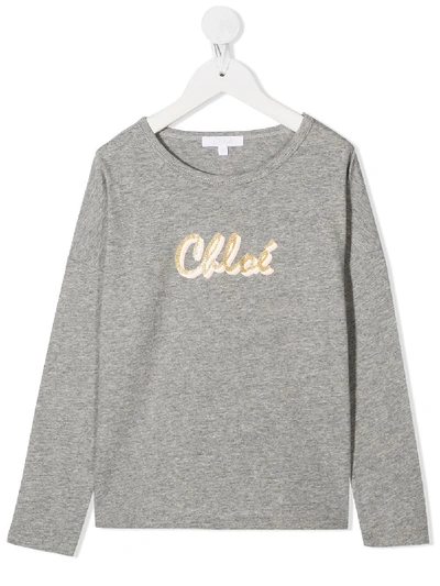 Shop Chloé Logo-print Cotton T-shirt In Grey