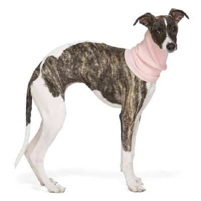 Shop Giu Giu Pink Nonna Turtleneck Dog Collar