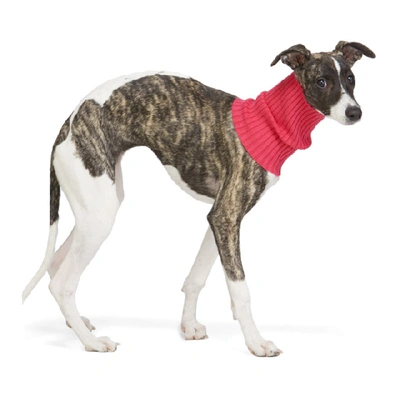 Shop Giu Giu Pink Nonna Turtleneck Dog Collar In Dragon