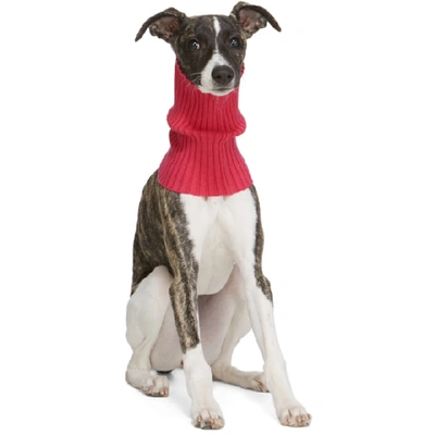 Shop Giu Giu Pink Nonna Turtleneck Dog Collar In Dragon