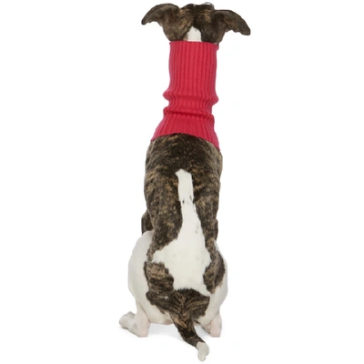 Shop Giu Giu Pink Nonna Turtleneck Dog Collar In Dragon