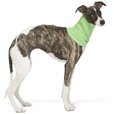 Shop Giu Giu Green Nonna Turtleneck Dog Collar In Celery