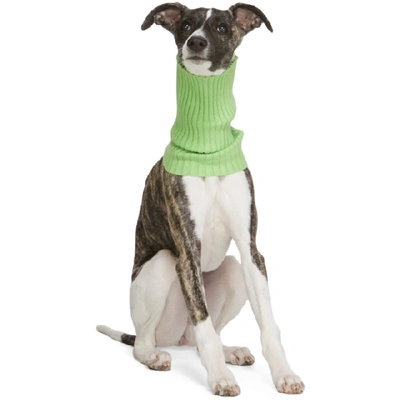 Shop Giu Giu Green Nonna Turtleneck Dog Collar In Celery