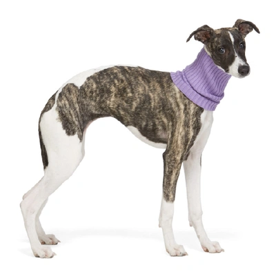 Shop Giu Giu Purple Nonna Turtleneck Dog Collar In Luxor