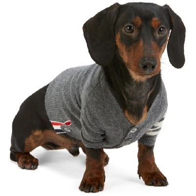 Shop Thom Browne Grey Cashmere 4-bar Dog Cardigan In 035 Grey