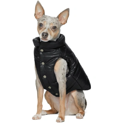 Shop Moncler Genius Black Poldo Dog Couture Edition Insulated Jacket In 999 Black