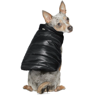 Shop Moncler Genius Black Poldo Dog Couture Edition Insulated Jacket In 999 Black