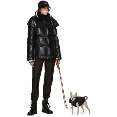 Shop Moncler Genius Black Poldo Dog Couture Edition Insulated Jacket In 999 Black