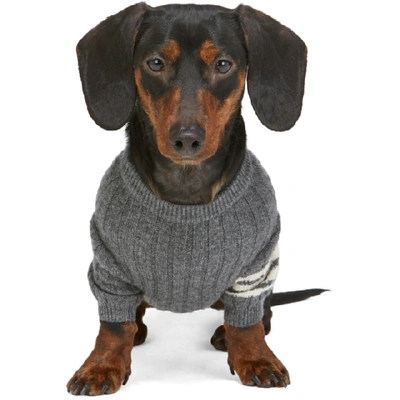 Shop Thom Browne Grey Cashmere 4-bar Rib Knit Dog Sweater In 035 Grey