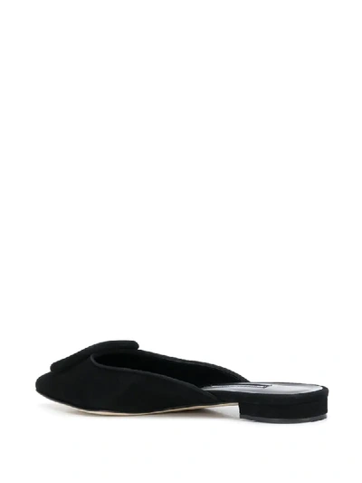 Shop Manolo Blahnik Maysale Suede Mules In Black