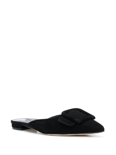 Shop Manolo Blahnik Maysale Suede Mules In Black