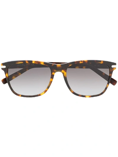 Shop Ferragamo Tortoiseshell Wayfarer Sunglasses In Brown