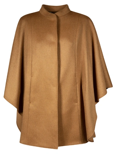 Shop Max Mara Stand-up Collar Cape In Brown