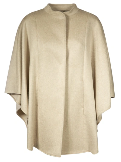 Shop Max Mara Stand-up Collar Cape In Pale Grey