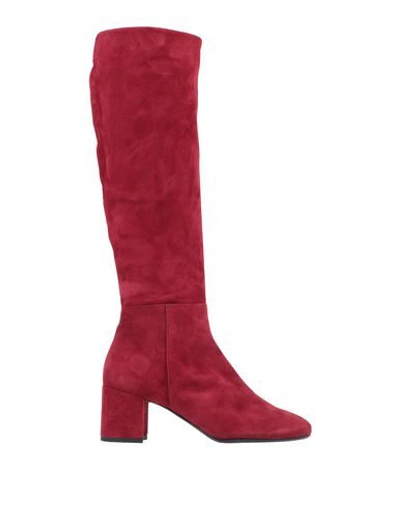 Shop Anna F. Boots In Maroon