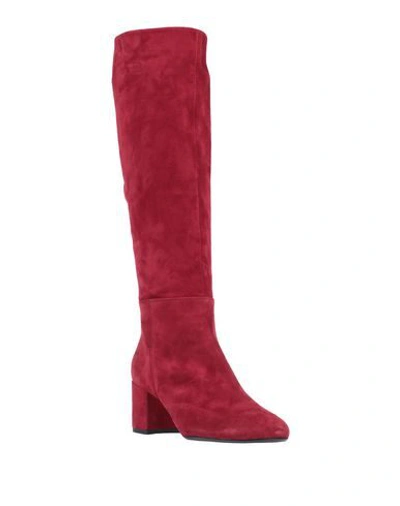 Shop Anna F Boots In Maroon