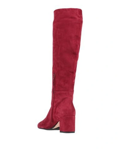 Shop Anna F. Boots In Maroon