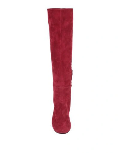 Shop Anna F Boots In Maroon