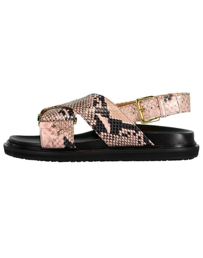 Shop Marni Python Fussbett Flat Sandal