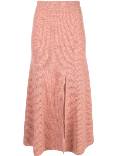 Shop Altuzarra Darrell Knit Skirt In Pink