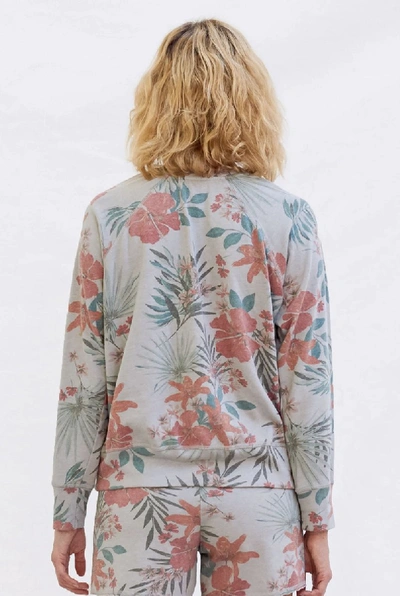 Sundry Tropical Florida Sweat Top In Lilac Multi