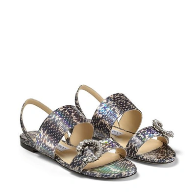 Shop Jimmy Choo Saphera Flat In Multicolor